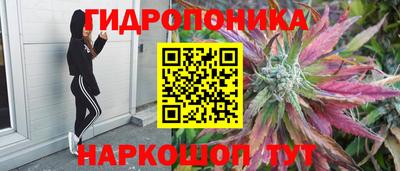 каннабис Будённовск
