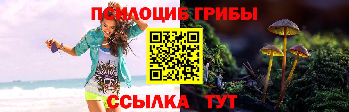 Кубинка  Псилоцибиновые грибы MAGIC MUSHROOMS  Псилоцибиновые грибы Magic Shrooms  Вход с VPN 